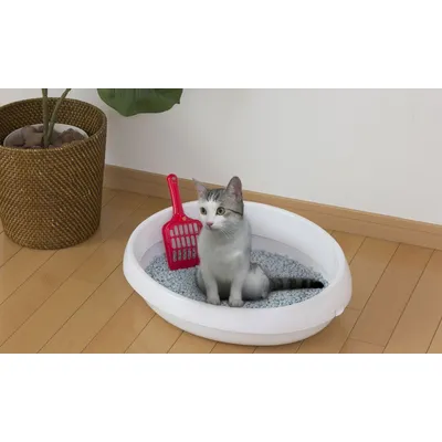 Bac à Litière pour Chat Ouvert avec Pelle - Compact, Facile à Nettoyer