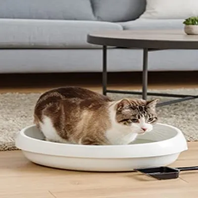 Bac à Litière pour Chat Ouvert avec Pelle - Compact, Facile à Nettoyer