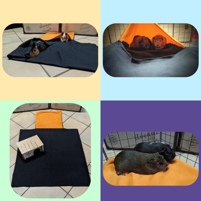 NEO SOLVO Coussin Polaire avec Cachette et Couverture intégrée