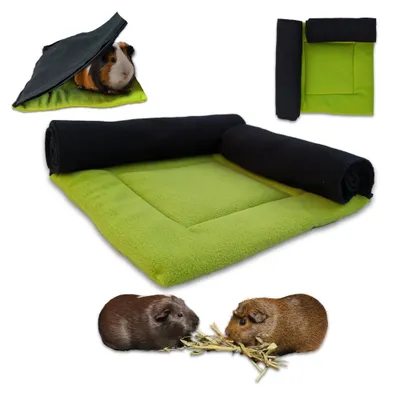 NEO SOLVO Lot de 2 Coussins Polaire avec cachette et Couverture intégrée