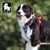 Harnais pour chien Truelove Country Plus Camouflage Bleu & Rouge
