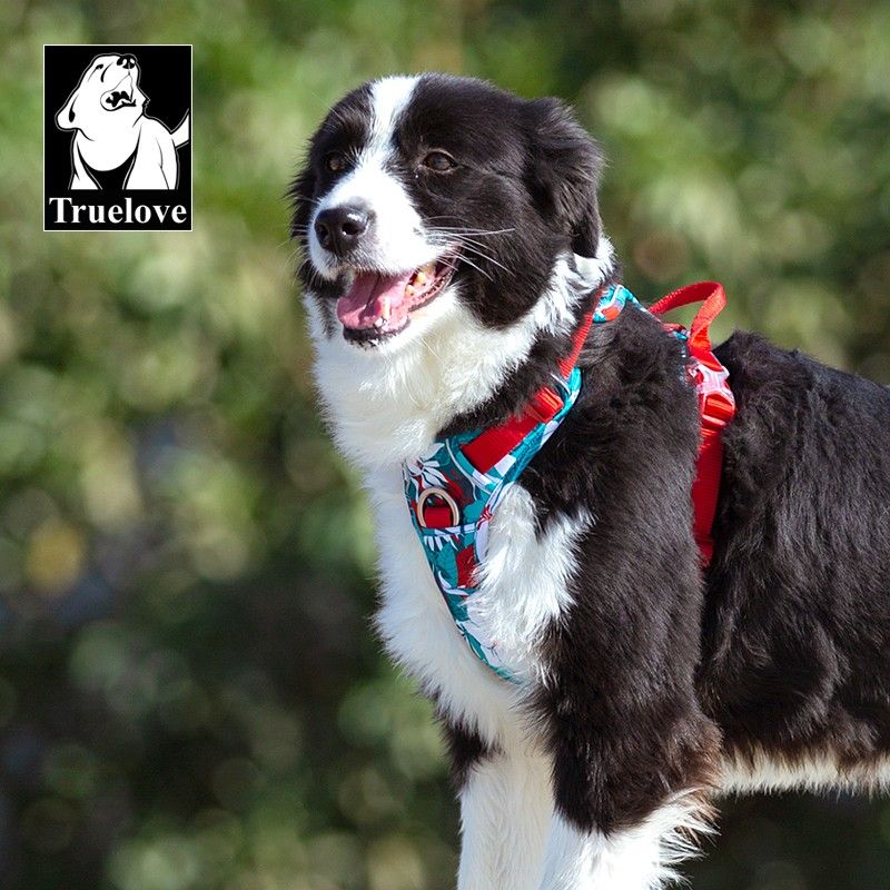 Harnais pour chien Truelove Country Plus Camouflage Bleu & Rouge