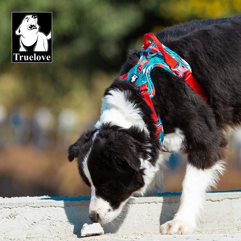 Harnais pour chien Truelove Country Plus Camouflage Bleu & Rouge
