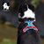 Harnais pour chien Truelove Country Plus Camouflage Bleu & Rouge
