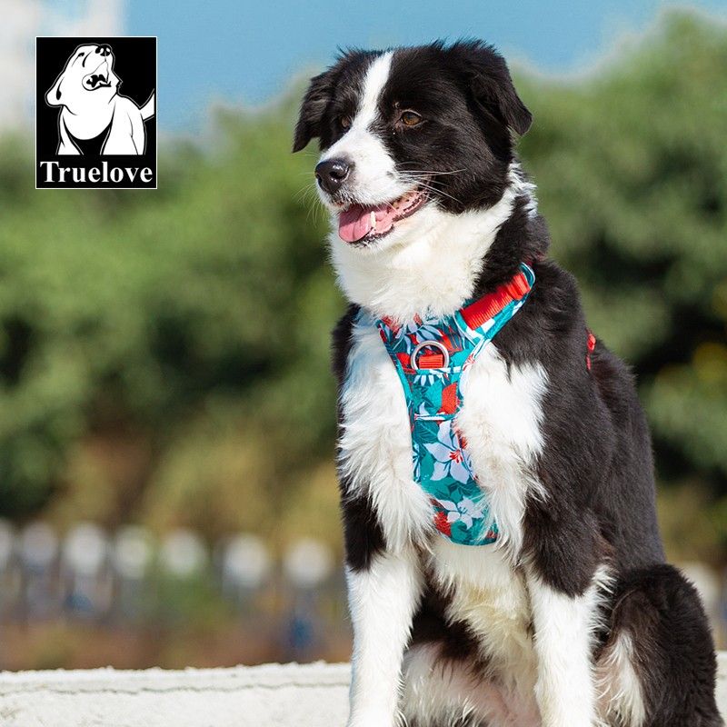 Harnais pour chien Truelove Country Plus Camouflage Bleu & Rouge