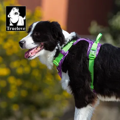 Harnais Truelove Country PLUS + Speciale Edition Camouflage Harnais chien T