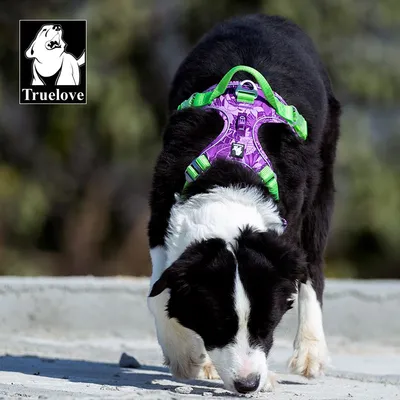 Harnais Truelove Country PLUS + Speciale Edition Camouflage Harnais chien T