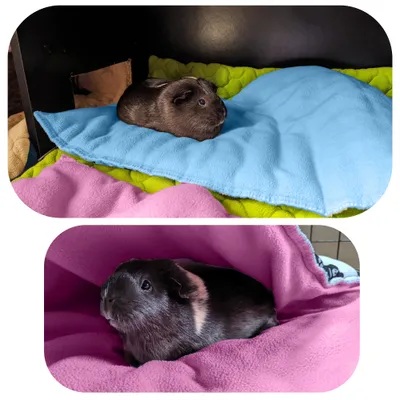 NEO SOLVO Tapis de jeu en Polaire Tout en Un Multifonction