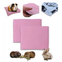 NEO SOLVO Coussin Polaire Epais Absorbant et Confortable