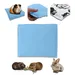 NEO SOLVO Coussin Polaire Epais Absorbant et Confortable