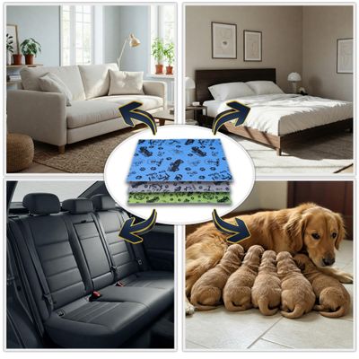 NEO SOLVO Tapis Absorbant et Antidérapant, Lavable en Machine