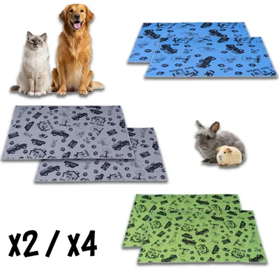 NEO SOLVO Tapis Absorbant et Antidérapant, Lavable en Machine