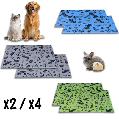 NEO SOLVO Tapis Absorbant et Antidérapant, Lavable en Machine