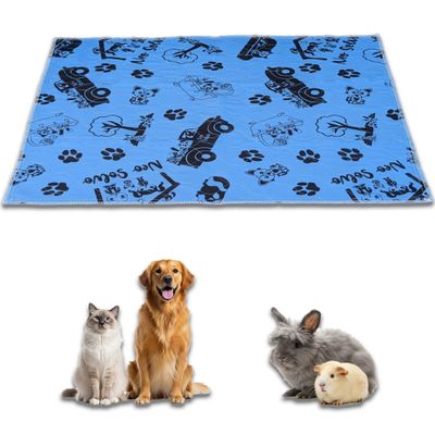 NEO SOLVO Tapis Absorbant et Antidérapant, Lavable en Machine 160 x 120 cm - Bleu Design