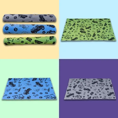 NEO SOLVO Tapis Absorbant et Antidérapant, Lavable en Machine