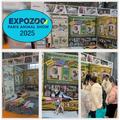 NEO SOLVO Tapis Absorbant et Antidérapant, Lavable en Machine