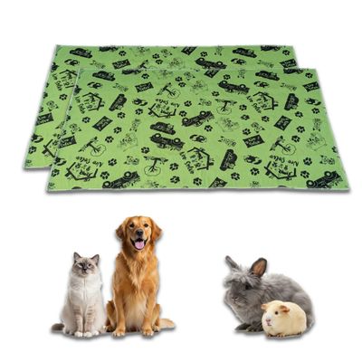 NEO SOLVO Tapis Absorbant et Antidérapant, Lavable en Machine Lot de 2 - 70 x 35 cm - Vert Design