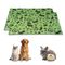 NEO SOLVO Tapis Absorbant et Antidérapant, Lavable en Machine Lot de 2 - 70 x 35 cm - Vert Design