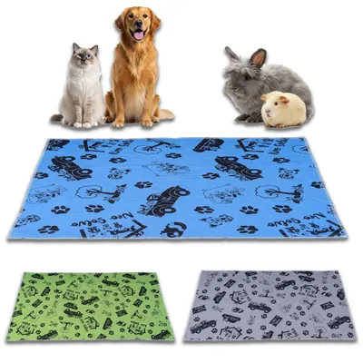 NEO SOLVO Tapis Absorbant et Antidérapant, Lavable en Machine