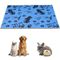 NEO SOLVO Tapis Absorbant et Antidérapant, Lavable en Machine 120 x 60 cm - Bleu Design