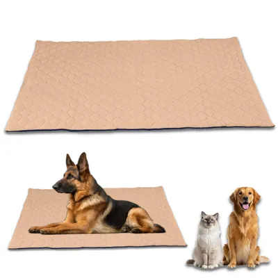 NEO SOLVO Tapis Imperméable et Confortable, Lavable en machine