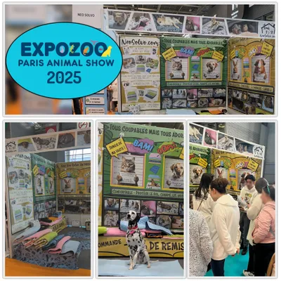 NEO SOLVO Tapis Imperméable et Confortable, Lavable en machine