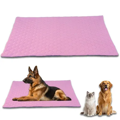 NEO SOLVO Tapis Imperméable et Confortable, Lavable en machine