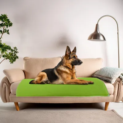 NEO SOLVO Coussin Réversible, Absorbant et Confortable pour Chien et Chat