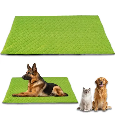 NEO SOLVO Tapis Imperméable et Confortable, Lavable en machine