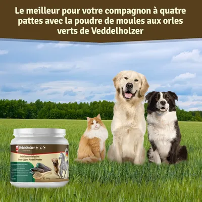 Veddelholzer Poudre naturelle de moules aux orles verts - 500g pour chiens