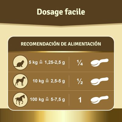 Veddelholzer Poudre 100% Naturelle de Moule aux orles Verts pour Chien