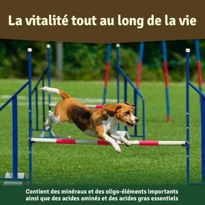 Veddelholzer Poudre 100% Naturelle de Moule aux orles Verts pour Chien