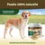 Veddelholzer Poudre naturelle de moules aux orles verts - 500g pour chiens