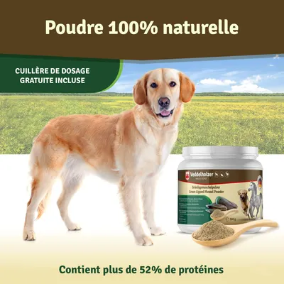 Veddelholzer Poudre naturelle de moules aux orles verts - 500g pour chiens