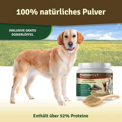 Veddelholzer Natürliches Grünlippmuschelpulver Hund - 500g