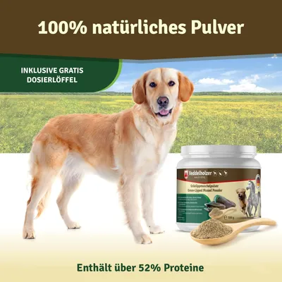 Veddelholzer Natürliches Grünlippmuschelpulver Hund - 500g