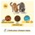 PIUPET Ecuelle pour chat set de 2 pièces