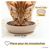 PIUPET Ecuelle pour chat set de 2 pièces