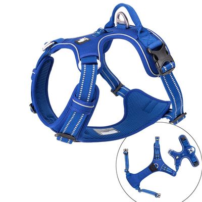 Harnais chien Truelove Country PLUS + dressage anti traction & promenade -