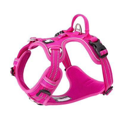 Truelove Country PLUS + Harnais chien dressage anti traction & promenade