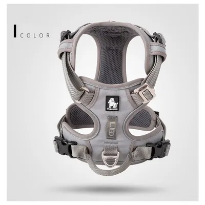 Truelove Country PLUS + Harnais chien dressage anti traction & promenade