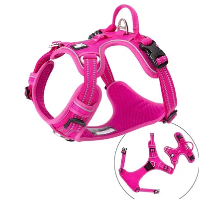 Truelove Country PLUS + Harnais chien dressage anti traction & promenade