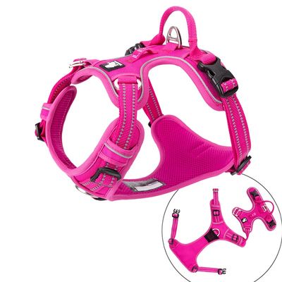 Harnais chien Truelove Country PLUS + dressage anti traction & promenade -