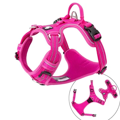 Truelove Country PLUS + Harnais chien dressage anti traction & promenade