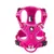 Truelove Country PLUS + Harnais chien dressage anti traction & promenade