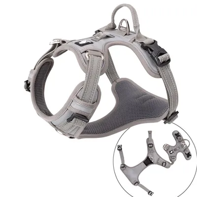 Truelove Country PLUS + Harnais chien dressage anti traction & promenade