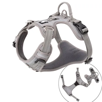 Truelove Country PLUS + Harnais chien dressage anti traction & promenade