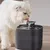 IntiMeg Fontaine pour animaux de compagnie