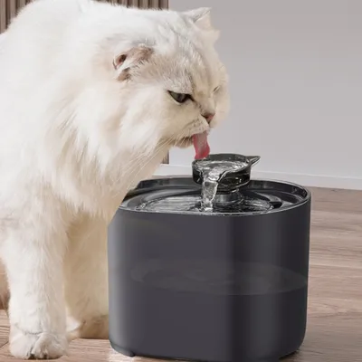 IntiMeg Fontaine pour animaux de compagnie