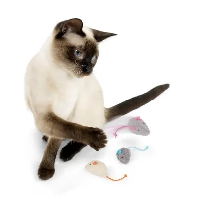 IntiMeg Juego de 3 juguetes de gato y ratón